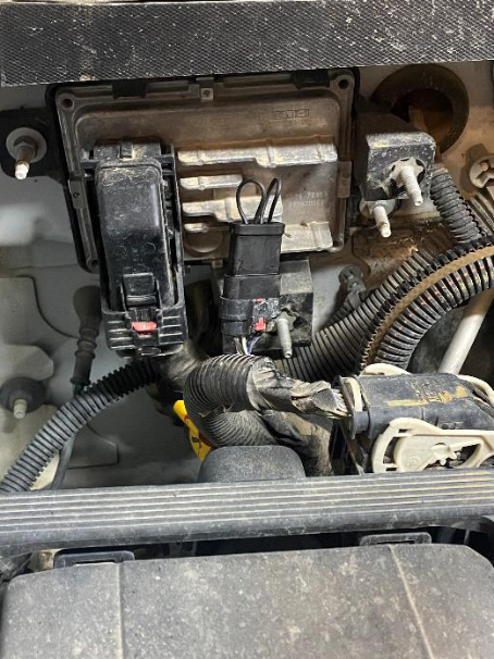Fit the two NOx module plugs