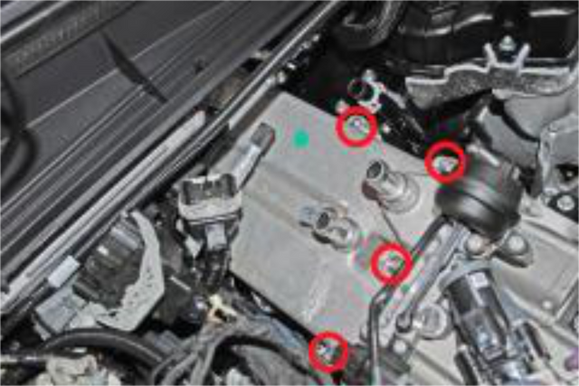 Remove the seven bolts that hold the EGR cooler in place