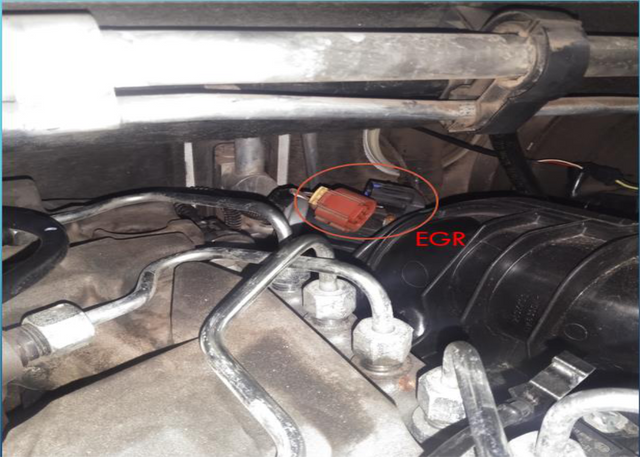Disconnect the throttle valve, EGR and DEF components