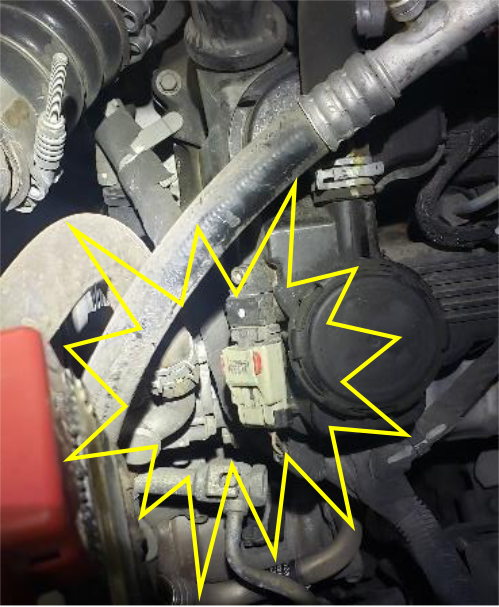 Plug the switch into the engine harness and blank the empty connector