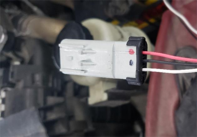 Pin the switch wires into the grey plug