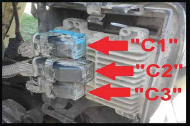 Find the C3 grey connector on the ECM