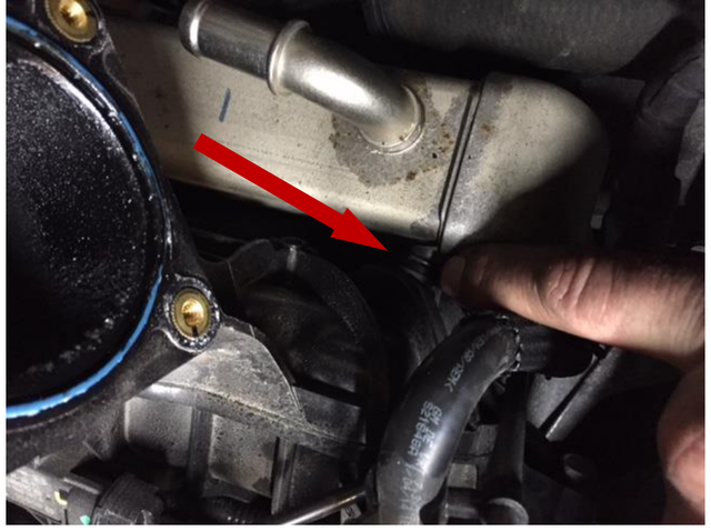 Remove the lower coolant hose from the EGR