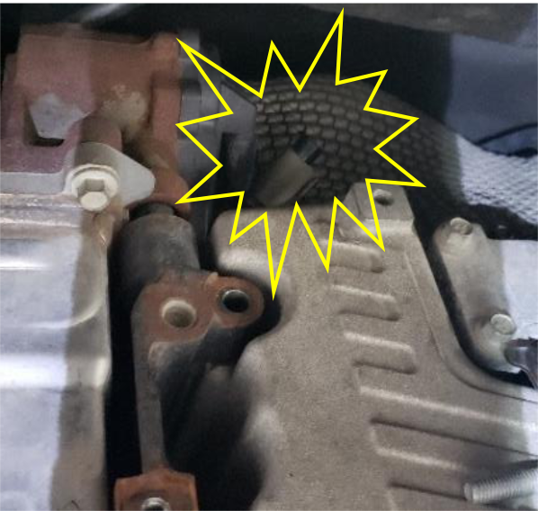 Disconnect the rear plug on the EGR and blank the truck side